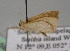  ( - BC ZSM Lep 14055)  @12 [ ] CreativeCommons - Attribution Non-Commercial Share-Alike (2010) Unspecified SNSB, Zoologische Staatssammlung Muenchen
