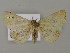 ( - BC ZSM Lep 15761)  @12 [ ] CreativeCommons - Attribution Non-Commercial Share-Alike (2010) Unspecified SNSB, Zoologische Staatssammlung Muenchen
