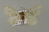  ( - BC ZSM Lep 15769)  @13 [ ] CreativeCommons - Attribution Non-Commercial Share-Alike (2010) Unspecified SNSB, Zoologische Staatssammlung Muenchen