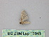  ( - BC ZSM Lep 17848)  @11 [ ] CreativeCommons - Attribution Non-Commercial Share-Alike (2010) Unspecified SNSB, Zoologische Staatssammlung Muenchen