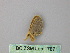  ( - BC ZSM Lep 17871)  @12 [ ] CreativeCommons - Attribution Non-Commercial Share-Alike (2010) Unspecified SNSB, Zoologische Staatssammlung Muenchen
