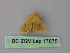  ( - BC ZSM Lep 17875)  @12 [ ] CreativeCommons - Attribution Non-Commercial Share-Alike (2010) Unspecified SNSB, Zoologische Staatssammlung Muenchen