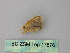  ( - BC ZSM Lep 17876)  @12 [ ] CreativeCommons - Attribution Non-Commercial Share-Alike (2010) Unspecified SNSB, Zoologische Staatssammlung Muenchen