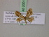  (Idaea pulverata - BC ZSM Lep 20011)  @13 [ ] CreativeCommons - Attribution Non-Commercial Share-Alike (2010) Unspecified SNSB, Zoologische Staatssammlung Muenchen