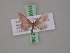  (Scopula roseocincta - BC ZSM Lep 20013)  @13 [ ] CreativeCommons - Attribution Non-Commercial Share-Alike (2010) Unspecified SNSB, Zoologische Staatssammlung Muenchen