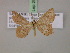 ( - BC ZSM Lep 20026)  @13 [ ] CreativeCommons - Attribution Non-Commercial Share-Alike (2010) Unspecified SNSB, Zoologische Staatssammlung Muenchen