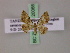  (Idaea AH03Tz - BC ZSM Lep 20066)  @13 [ ] CreativeCommons - Attribution Non-Commercial Share-Alike (2010) Unspecified SNSB, Zoologische Staatssammlung Muenchen