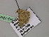 ( - BC ZSM Lep 22490)  @13 [ ] CreativeCommons - Attribution Non-Commercial Share-Alike (2010) Unspecified SNSB, Zoologische Staatssammlung Muenchen