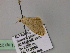 ( - BC ZSM Lep 22507)  @12 [ ] CreativeCommons - Attribution Non-Commercial Share-Alike (2010) Unspecified SNSB, Zoologische Staatssammlung Muenchen