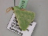  ( - BC ZSM Lep 22512)  @13 [ ] CreativeCommons - Attribution Non-Commercial Share-Alike (2010) Unspecified SNSB, Zoologische Staatssammlung Muenchen
