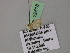  ( - BC ZSM Lep 22518)  @12 [ ] CreativeCommons - Attribution Non-Commercial Share-Alike (2010) Unspecified SNSB, Zoologische Staatssammlung Muenchen