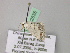  ( - BC ZSM Lep 22535)  @12 [ ] CreativeCommons - Attribution Non-Commercial Share-Alike (2010) Unspecified SNSB, Zoologische Staatssammlung Muenchen