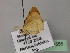  ( - BC ZSM Lep 22556)  @12 [ ] CreativeCommons - Attribution Non-Commercial Share-Alike (2010) Unspecified SNSB, Zoologische Staatssammlung Muenchen