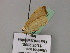 ( - BC ZSM Lep 22557)  @12 [ ] CreativeCommons - Attribution Non-Commercial Share-Alike (2010) Unspecified SNSB, Zoologische Staatssammlung Muenchen