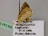  ( - BC ZSM Lep 22559)  @12 [ ] CreativeCommons - Attribution Non-Commercial Share-Alike (2010) Unspecified SNSB, Zoologische Staatssammlung Muenchen