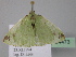  ( - BC ZSM Lep 24473)  @11 [ ] CreativeCommons - Attribution Non-Commercial Share-Alike (2010) Unspecified SNSB, Zoologische Staatssammlung Muenchen