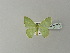  (Nemoria venezuelae - BC ZSM Lep 78522)  @13 [ ] CreativeCommons - Attribution Non-Commercial Share-Alike (2013) Axel Hausmann/Bavarian State Collection of Zoology (ZSM) SNSB, Zoologische Staatssammlung Muenchen