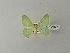  (Nemoria dentilineaAH03Br - BC ZSM Lep 78523)  @13 [ ] CreativeCommons - Attribution Non-Commercial Share-Alike (2013) Axel Hausmann/Bavarian State Collection of Zoology (ZSM) SNSB, Zoologische Staatssammlung Muenchen
