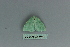  ( - BC ZSM Lep 80102)  @12 [ ] CreativeCommons - Attribution Non-Commercial Share-Alike (2013) Axel Hausmann/Bavarian State Collection of Zoology (ZSM) SNSB, Zoologische Staatssammlung Muenchen