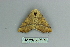  ( - BC ZSM Lep 80132)  @12 [ ] CreativeCommons - Attribution Non-Commercial Share-Alike (2013) Axel Hausmann/Bavarian State Collection of Zoology (ZSM) SNSB, Zoologische Staatssammlung Muenchen