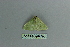  ( - BC ZSM Lep 80159)  @12 [ ] CreativeCommons - Attribution Non-Commercial Share-Alike (2013) Axel Hausmann/Bavarian State Collection of Zoology (ZSM) SNSB, Zoologische Staatssammlung Muenchen