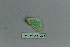  ( - BC ZSM Lep 80168)  @12 [ ] CreativeCommons - Attribution Non-Commercial Share-Alike (2013) Axel Hausmann/Bavarian State Collection of Zoology (ZSM) SNSB, Zoologische Staatssammlung Muenchen