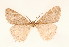  ( - BC GL Lep 0052)  @11 [ ] Copyright (2010) Unspecified Research Collection of Gyula M. Laszlo
