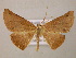  ( - BC ZSM Lep 05850)  @13 [ ] CreativeCommons - Attribution Non-Commercial Share-Alike (2010) Unspecified SNSB, Zoologische Staatssammlung Muenchen