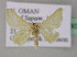  ( - BC ZSM Lep 09680)  @12 [ ] CreativeCommons - Attribution Non-Commercial Share-Alike (2010) Unspecified SNSB, Zoologische Staatssammlung Muenchen