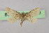  ( - BC ZSM Lep 16453)  @13 [ ] CreativeCommons - Attribution Non-Commercial Share-Alike (2010) Unspecified SNSB, Zoologische Staatssammlung Muenchen