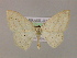  ( - BC ZSM Lep 17107)  @11 [ ] CreativeCommons - Attribution Non-Commercial Share-Alike (2010) Unspecified SNSB, Zoologische Staatssammlung Muenchen