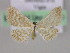  (Idaea AM03Br - BC ZSM Lep 17130)  @11 [ ] CreativeCommons - Attribution Non-Commercial Share-Alike (2010) Unspecified SNSB, Zoologische Staatssammlung Muenchen