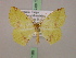  ( - BC ZSM Lep 17185)  @14 [ ] CreativeCommons - Attribution Non-Commercial Share-Alike (2010) Unspecified SNSB, Zoologische Staatssammlung Muenchen