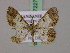  ( - BC ZSM Lep 17227)  @13 [ ] CreativeCommons - Attribution Non-Commercial Share-Alike (2010) Unspecified SNSB, Zoologische Staatssammlung Muenchen