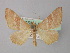  ( - BC ZSM Lep 18393)  @13 [ ] CreativeCommons - Attribution Non-Commercial Share-Alike (2010) Unspecified SNSB, Zoologische Staatssammlung Muenchen