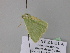  ( - BC ZSM Lep 26243)  @12 [ ] CreativeCommons - Attribution Non-Commercial Share-Alike (2010) Unspecified SNSB, Zoologische Staatssammlung Muenchen