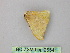  (Drepana AH01In - BC ZSM Lep 26541)  @13 [ ] CreativeCommons - Attribution Non-Commercial Share-Alike (2010) Unspecified SNSB, Zoologische Staatssammlung Muenchen