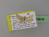  (Idaea amputata - BC ZSM Lep 26646)  @12 [ ] CreativeCommons - Attribution Non-Commercial Share-Alike (2010) Unspecified SNSB, Zoologische Staatssammlung Muenchen