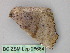  ( - BC ZSM Lep 26684)  @12 [ ] CreativeCommons - Attribution Non-Commercial Share-Alike (2010) Unspecified SNSB, Zoologische Staatssammlung Muenchen