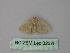 ( - BC ZSM Lep 32375)  @13 [ ] CreativeCommons - Attribution Non-Commercial Share-Alike (2010) Unspecified SNSB, Zoologische Staatssammlung Muenchen
