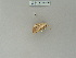  ( - BC ZSM Lep 85756)  @12 [ ] CreativeCommons - Attribution Non-Commercial Share-Alike (2015) Axel Hausmann/Bavarian State Collection of Zoology (ZSM) SNSB, Zoologische Staatssammlung Muenchen
