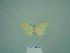  ( - BC ZSM Lep 86128)  @13 [ ] CreativeCommons - Attribution Non-Commercial Share-Alike (2015) Axel Hausmann/Bavarian State Collection of Zoology (ZSM) SNSB, Zoologische Staatssammlung Muenchen