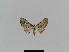  ( - BC EF Alc 00005)  @13 [ ] Copyright (2010) Unspecified Research Collection of Egbert Friedrich