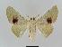  ( - BC EF Alc 00009)  @13 [ ] Copyright (2010) Unspecified Research Collection of Egbert Friedrich