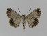  ( - BC EF Alc 00020)  @13 [ ] Copyright (2010) Unspecified Research Collection of Egbert Friedrich