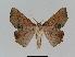  ( - BC EF Alc 00025)  @13 [ ] Copyright (2010) Unspecified Research Collection of Egbert Friedrich