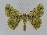  ( - BC EF Alc 00026)  @14 [ ] Copyright (2010) Unspecified Research Collection of Egbert Friedrich
