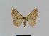  ( - BC EF Alc 00043)  @13 [ ] Copyright (2010) Unspecified Research Collection of Egbert Friedrich