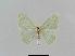  ( - BC EF Lep 00669)  @13 [ ] Copyright (2010) Unspecified Research Collection of Egbert Friedrich