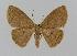  ( - BC EF Lep 00687)  @14 [ ] Copyright (2010) Unspecified Research Collection of Egbert Friedrich